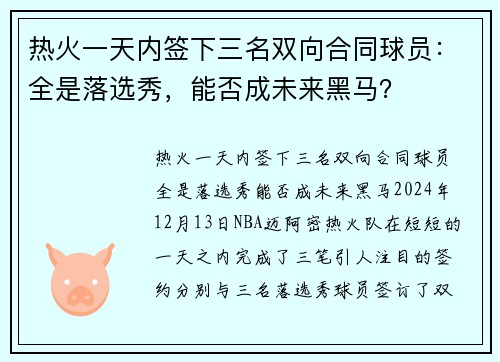 热火一天内签下三名双向合同球员：全是落选秀，能否成未来黑马？